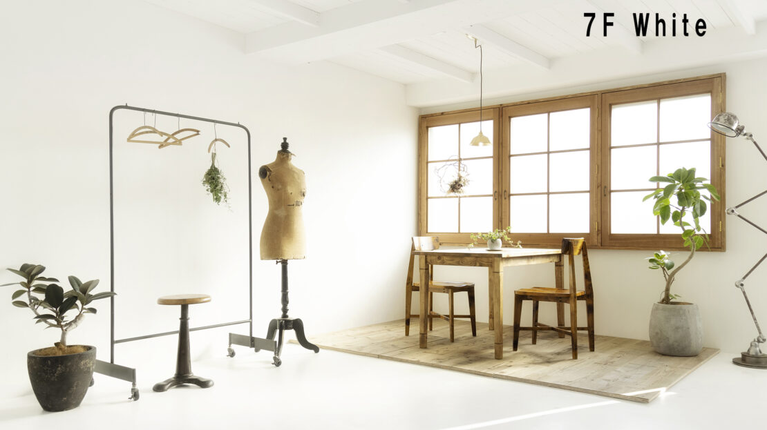 7F Studio 漆喰壁に映える東の木窓からあふれる自然光