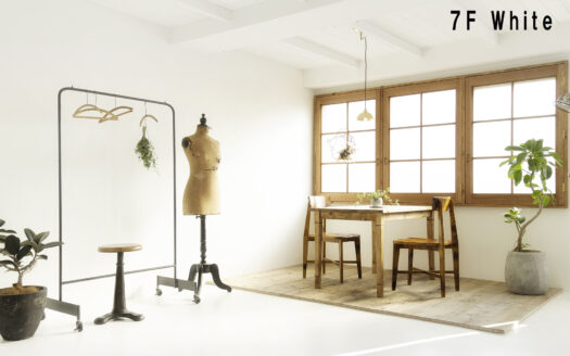 7F Studio 漆喰壁に映える東の木窓からあふれる自然光